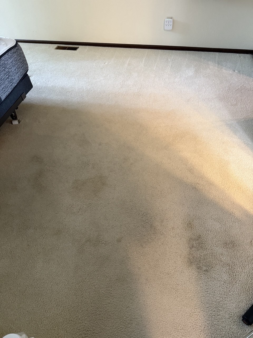 Before carpet cleaning Tacoma WA
